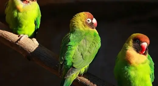 아빠 육아휴직 장려금 신청 방법