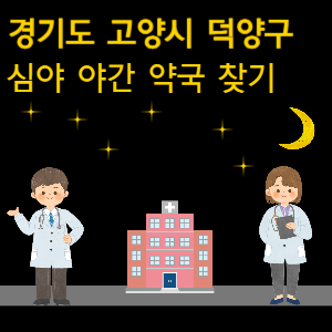 고양시 덕양구 심야 야간 24시 약국