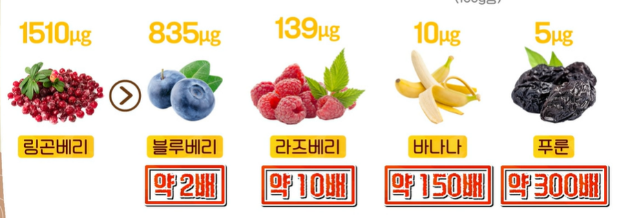 링곤베리 효능