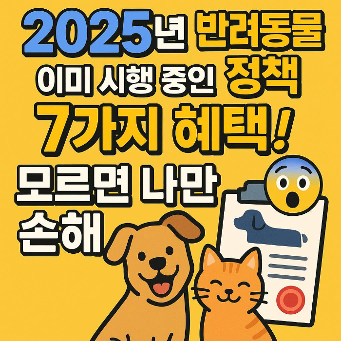 2025년 이미 시행중인 정책 7가지