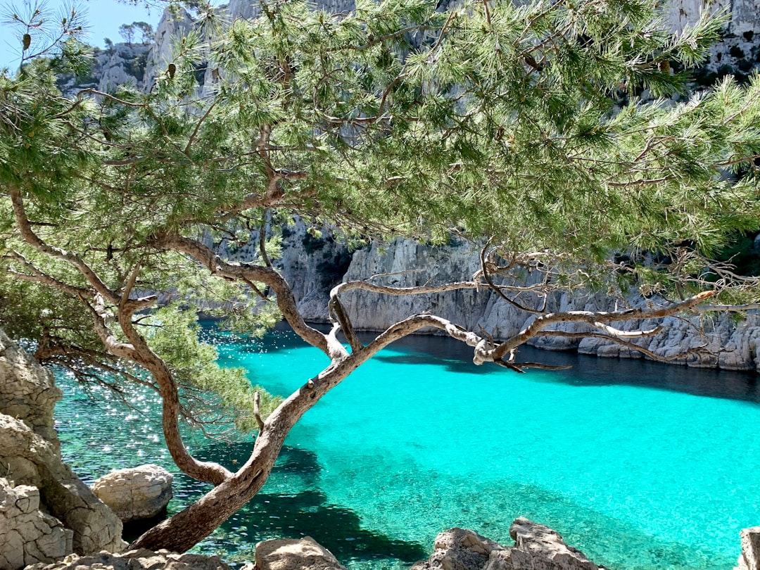 Mediterranean