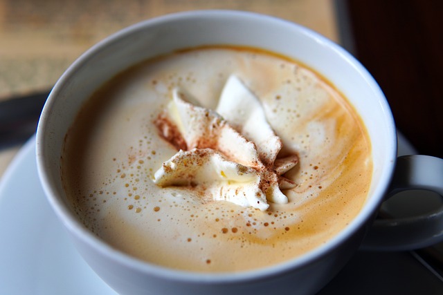 고양이가 먹으면 안 되는 음식