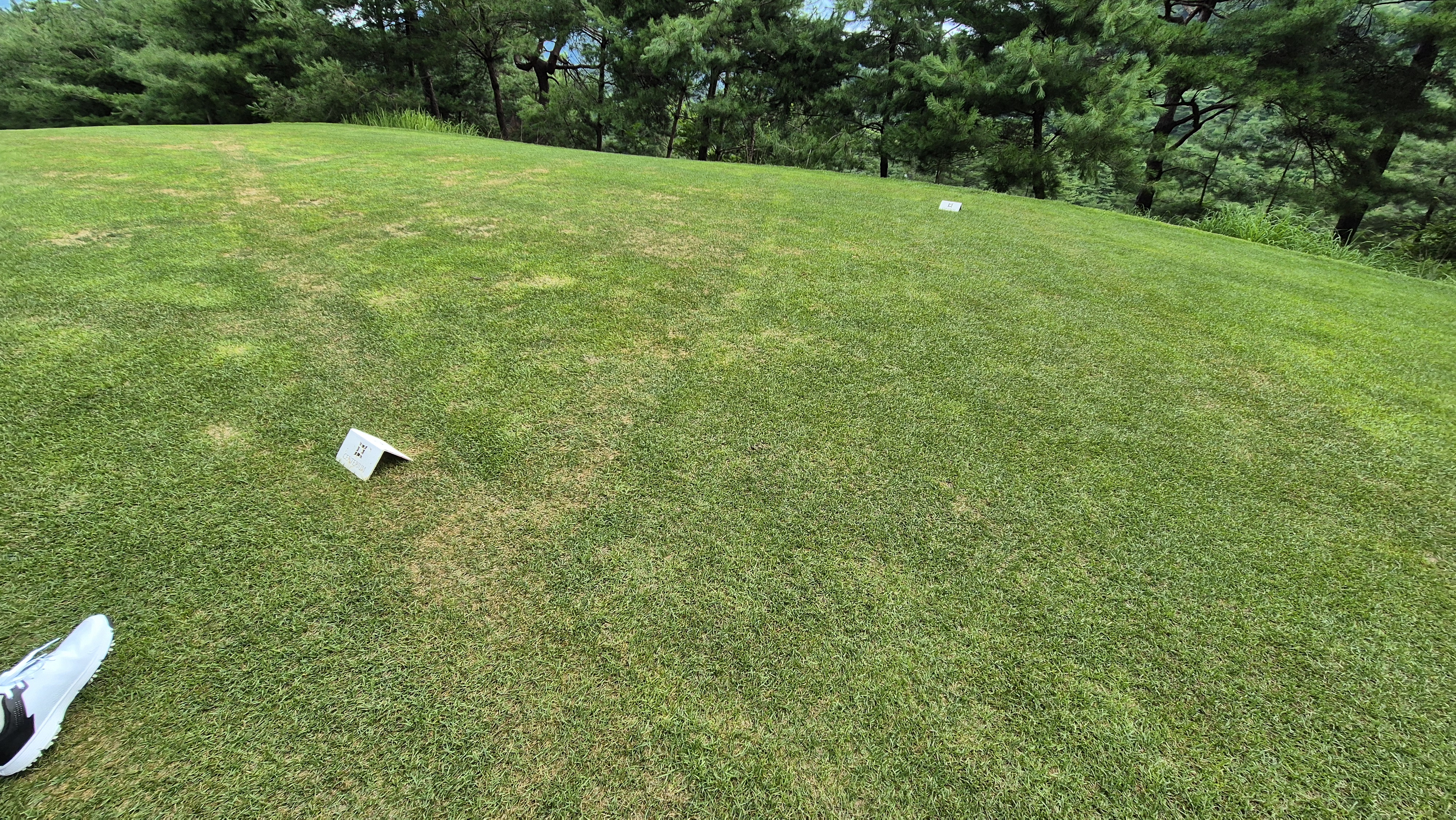 센테리움cc 스코틀랜드-웨일즈 코스 라운드 후기