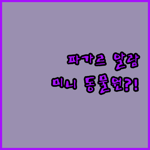 파가르 알람에서만 만날 수 있는 미니..