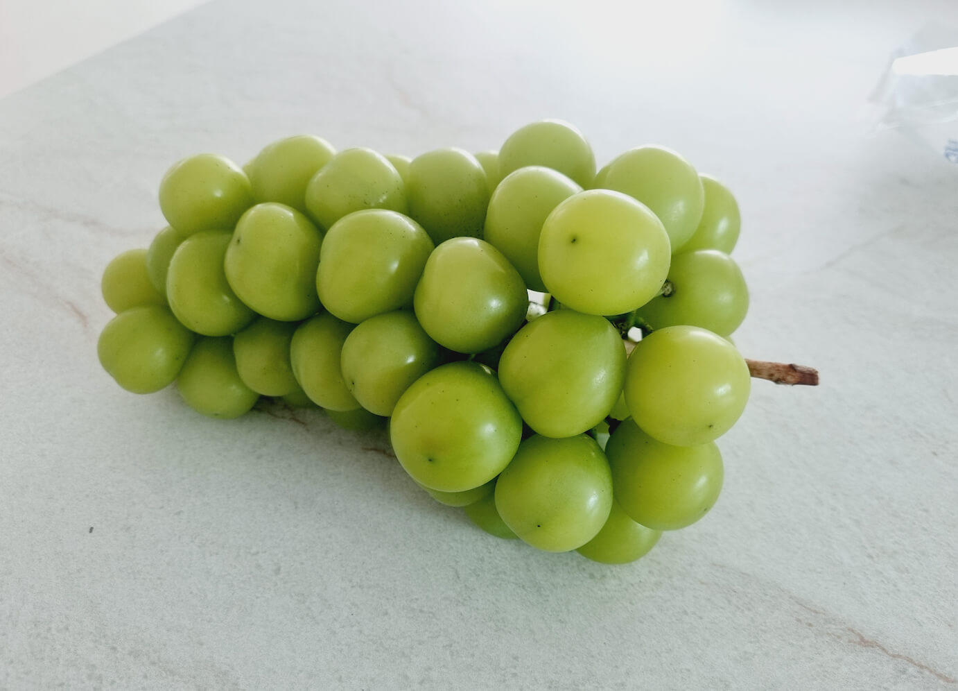 샤인머스켓 칼로리