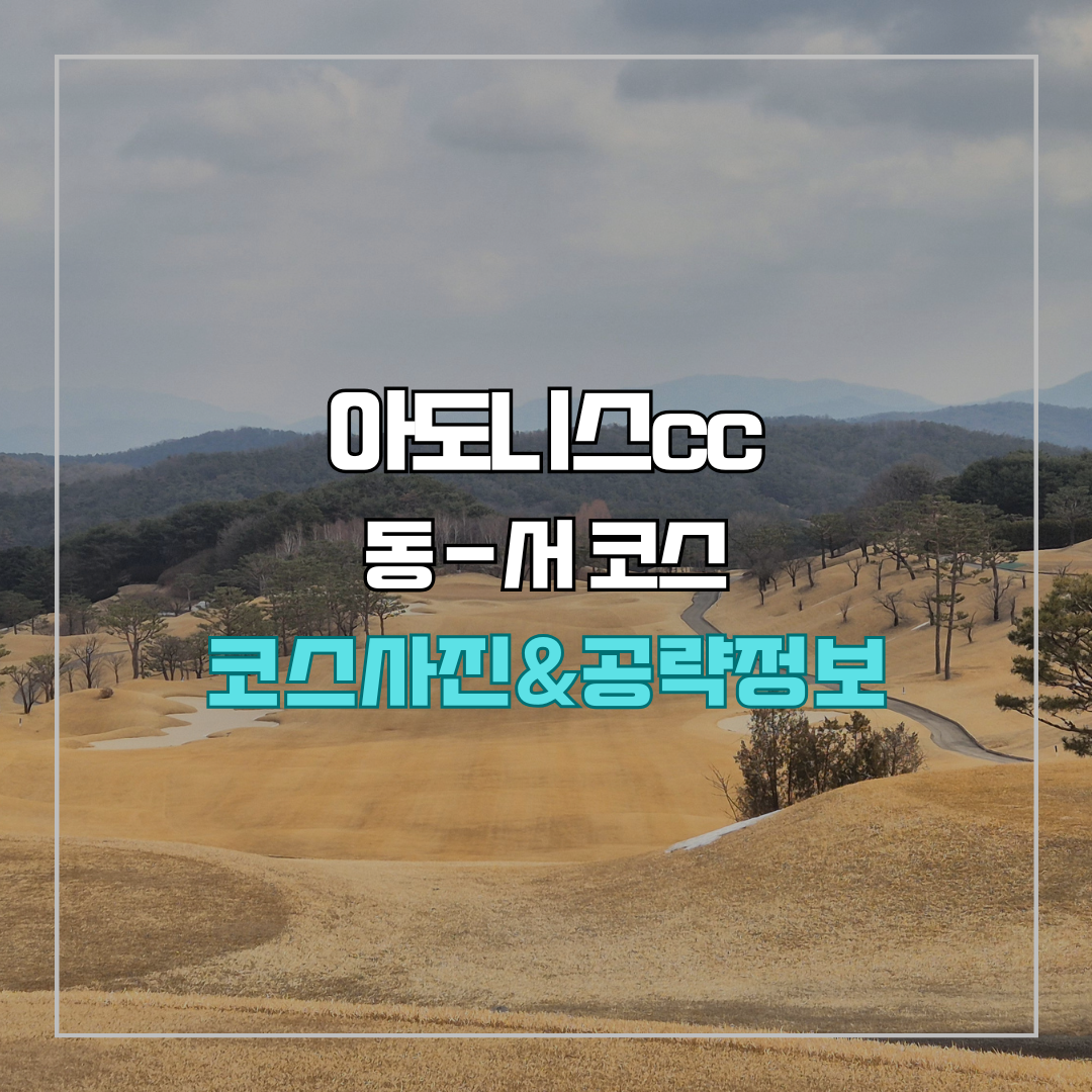 아도니스cc 동-서 코스 사진 및 공략 정보