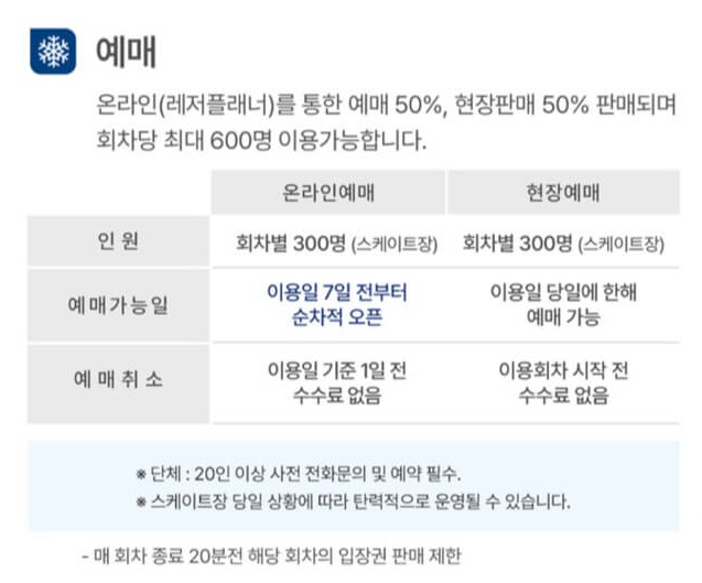 서울광장 스케이트장