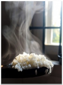 설사가 멈추는 법