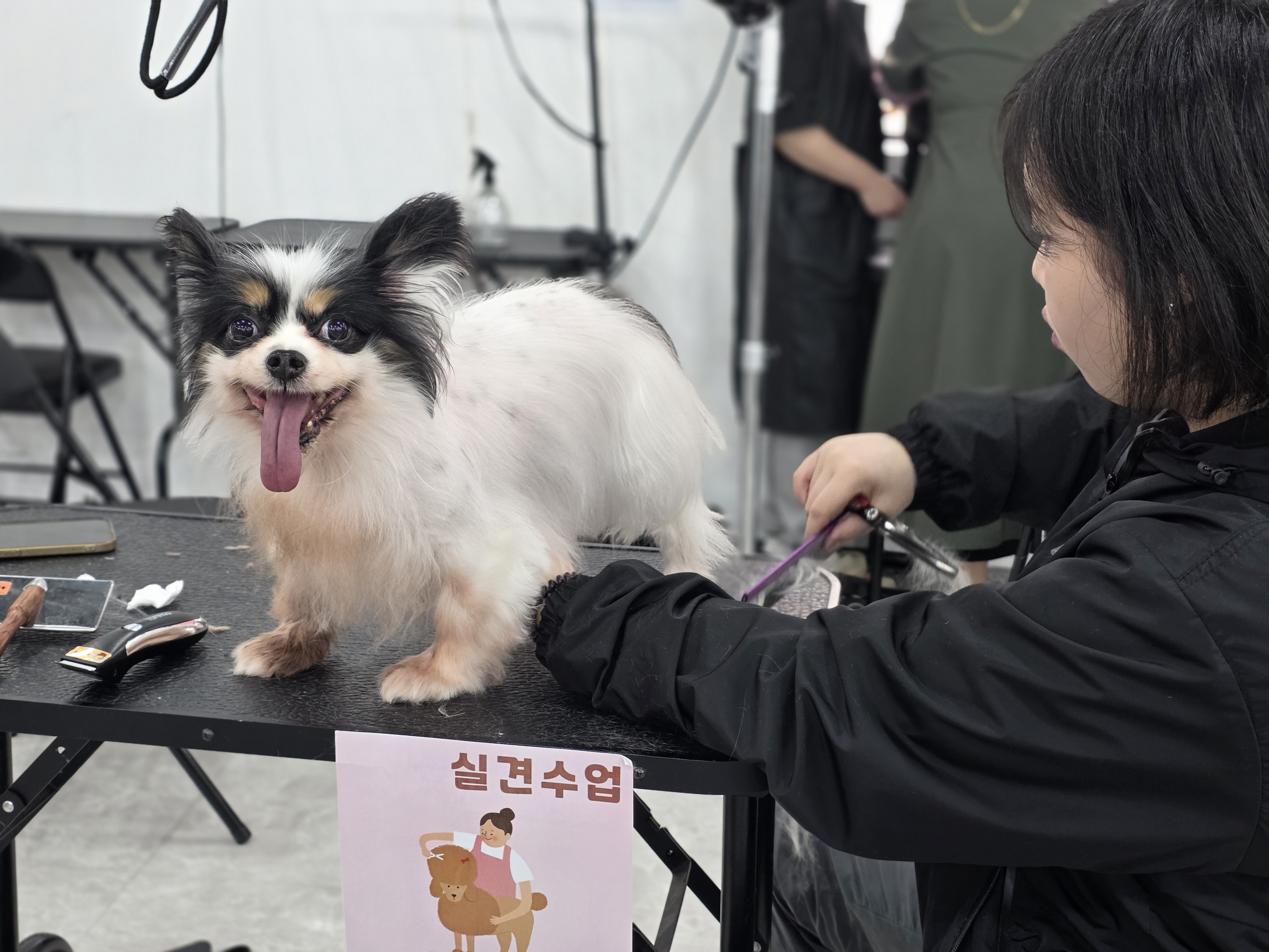 미금애견미용학원