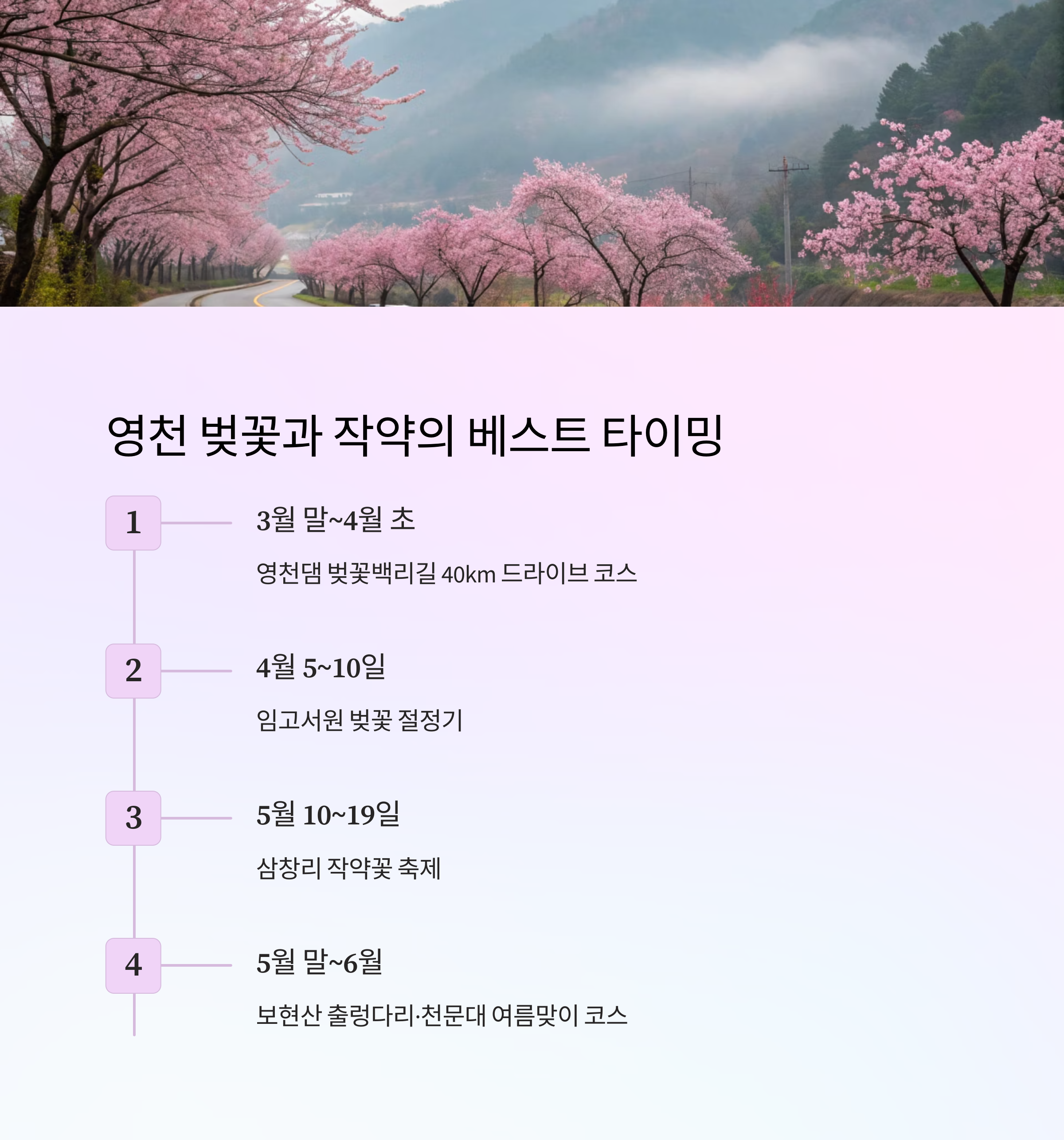 경북 영천 여행 코스: 작약꽃밭