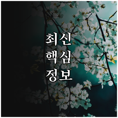 2025 서동이장학금 인천 서구 인재..