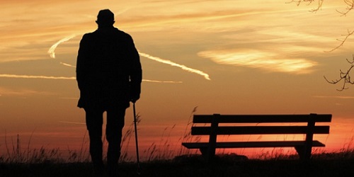 일본의 고령자 인구 고령 취업률 - 시사점