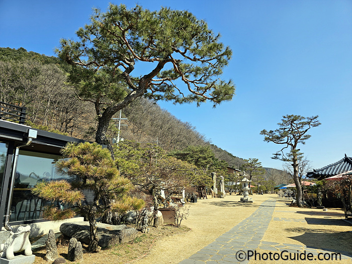 춘천 가 볼만한 카페 월송