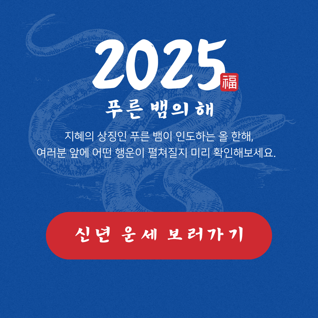 2025년 신년 운세 종합사주 보러가기