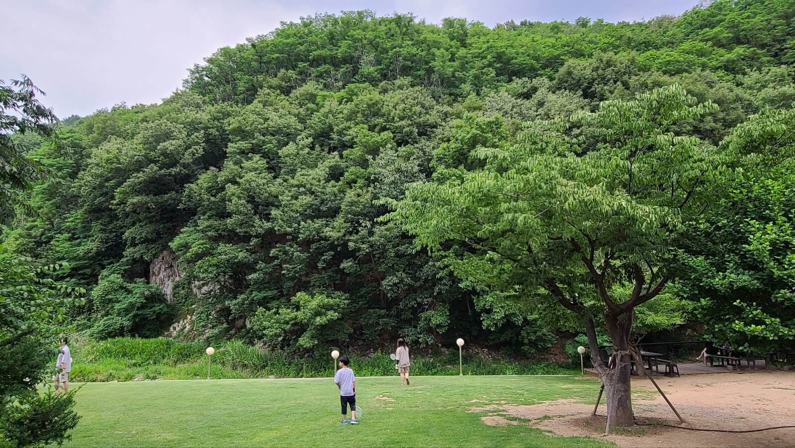 천연조경