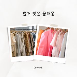 벌거 벗은 꿈