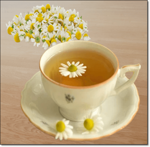 카모마일 차 효능