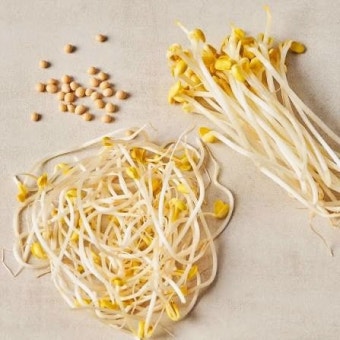 콩나물 물에 담가 보관하세요｜비린내 없이 아삭하게 유지하는 콩나물 보관 기간의 정답