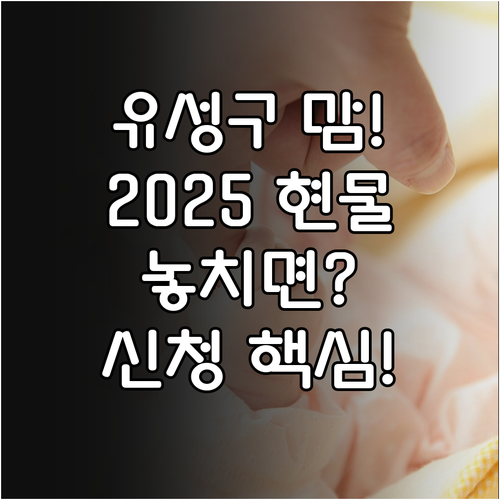 유성구 출산용품 2025 현물 지원 ..