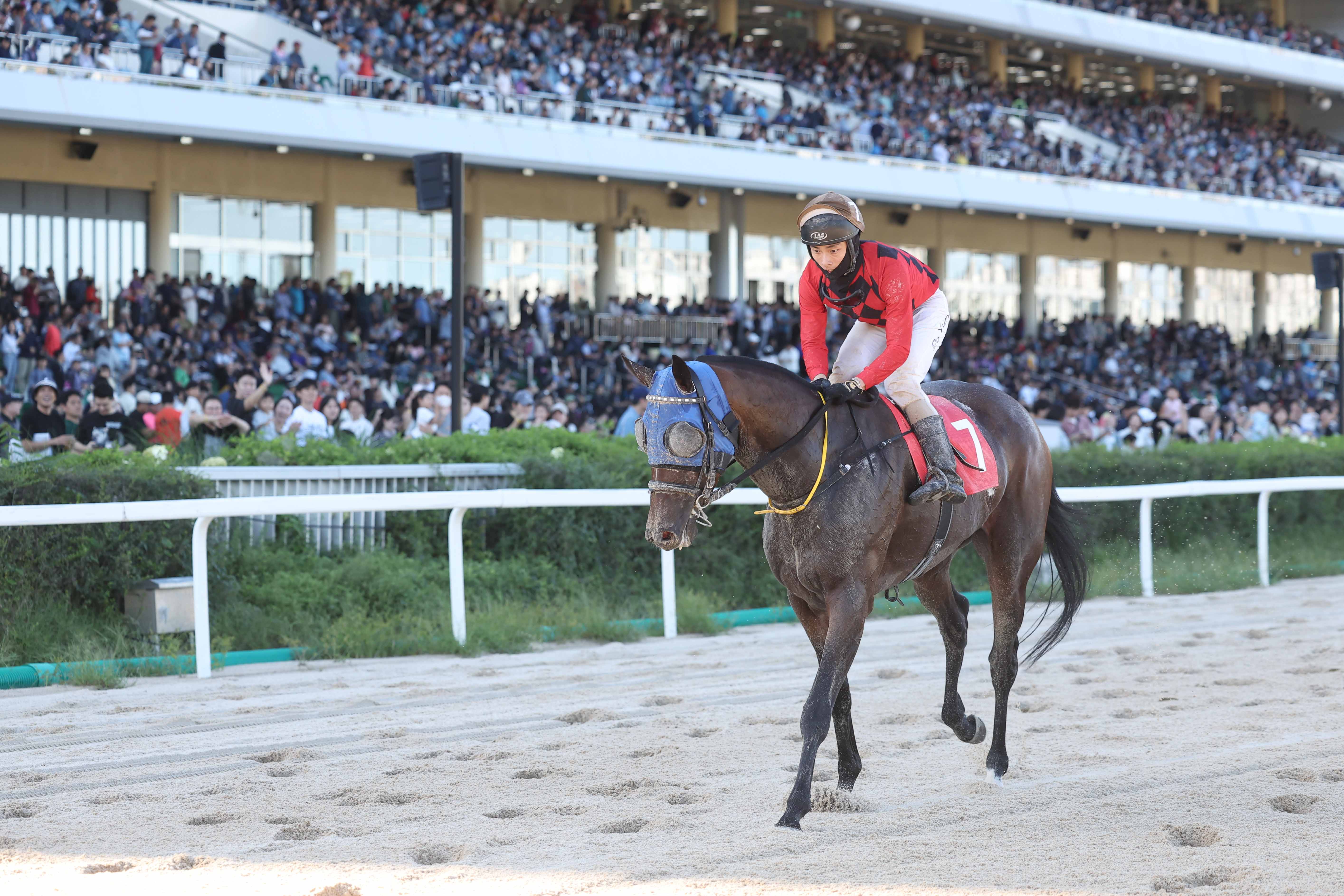 정도윤 기수와 보령라이트퀸