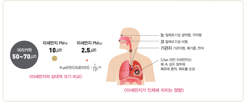 미세먼지가 인체에 미치는 영향 사진