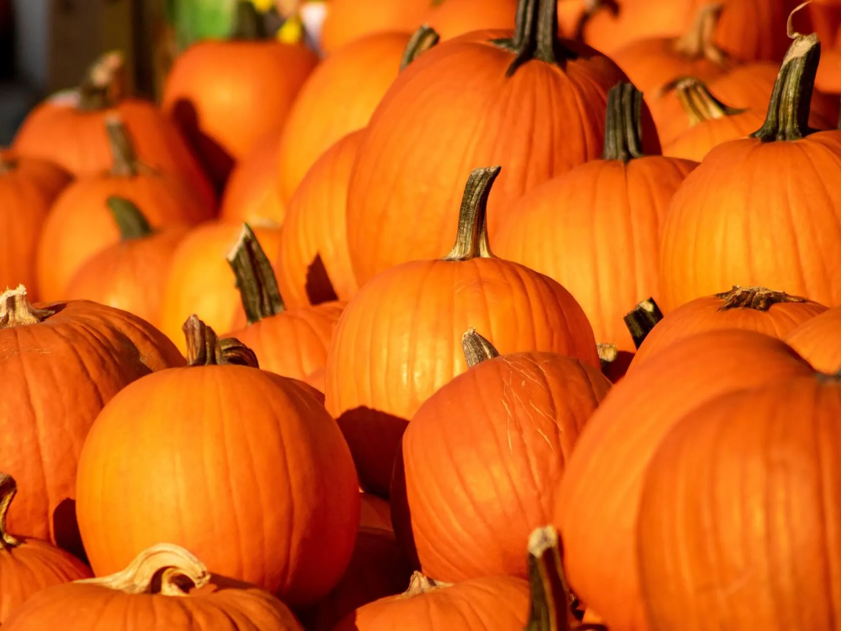 세포보호하는데 도움을 주는 호박씨