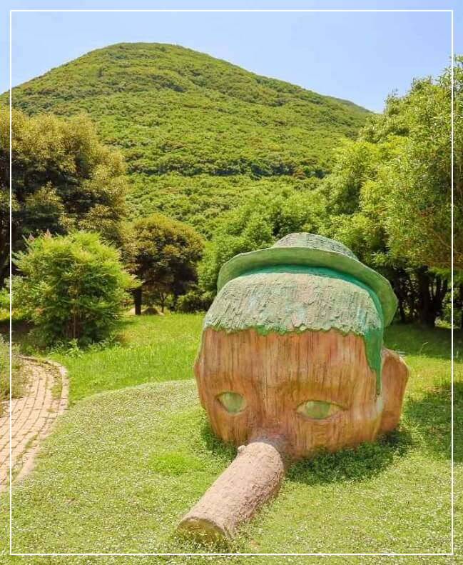 완도 가볼만한곳 베스트10 완도수목원