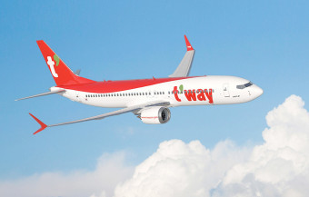 스마트패스항공사