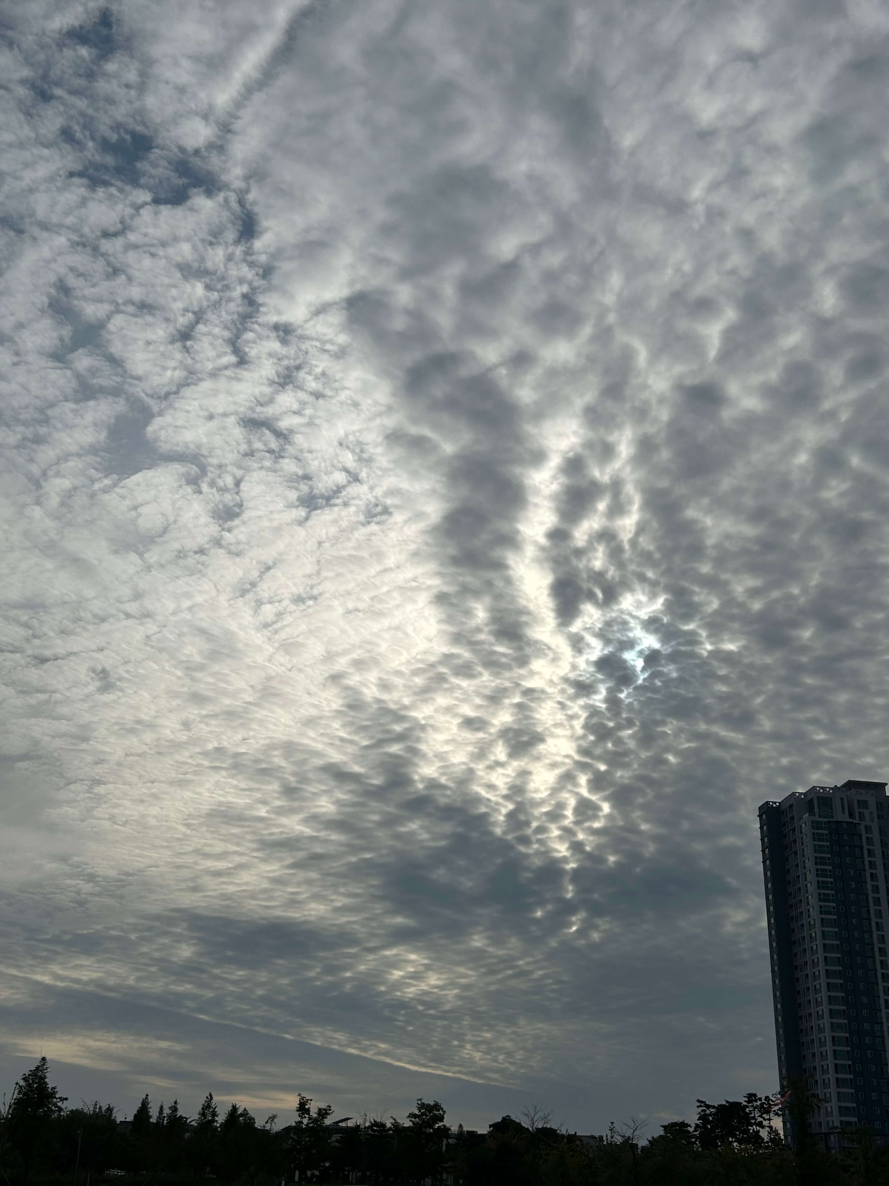 2025 인구주택총조사 조사원 