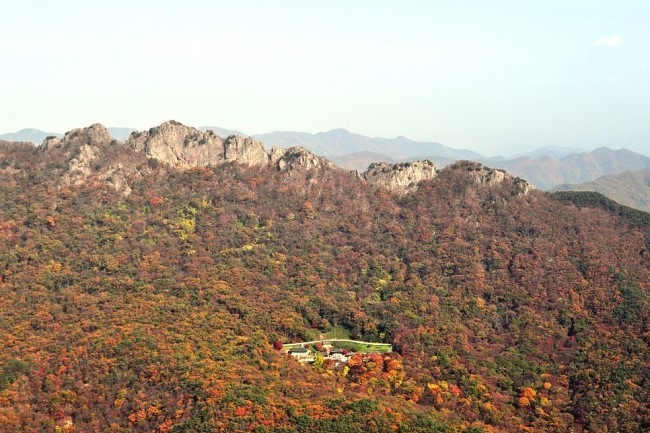 내장산 단풍시기