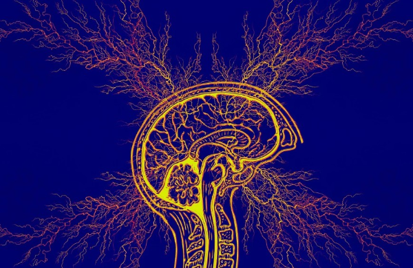 피브리카 증후군에 대한 설명