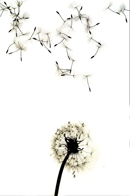 땡볕 노출 시간 그늘 이동 양산 사용 보행 요령_2