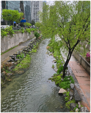 청계천