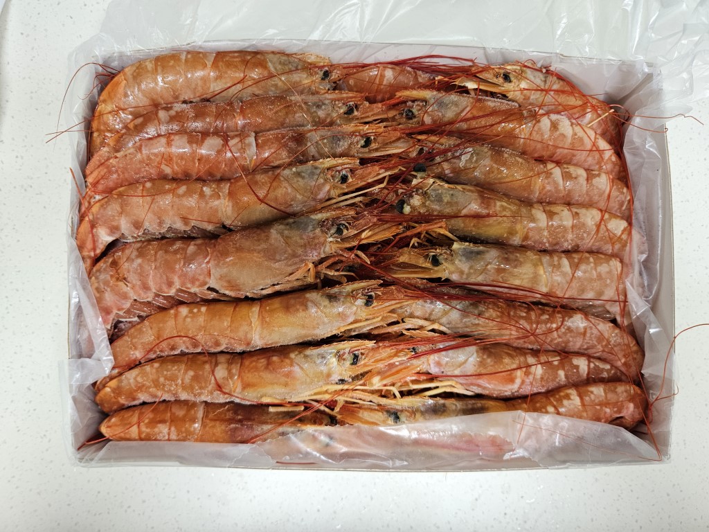 급랭 새우 실물사진