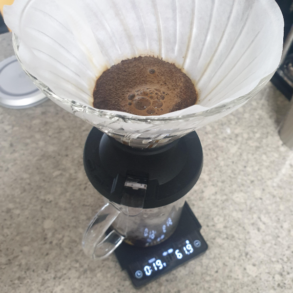 하리오 스위치를 이용한 커피 추출 레시피: feat. 테츠 카츠야_뜸 들이기