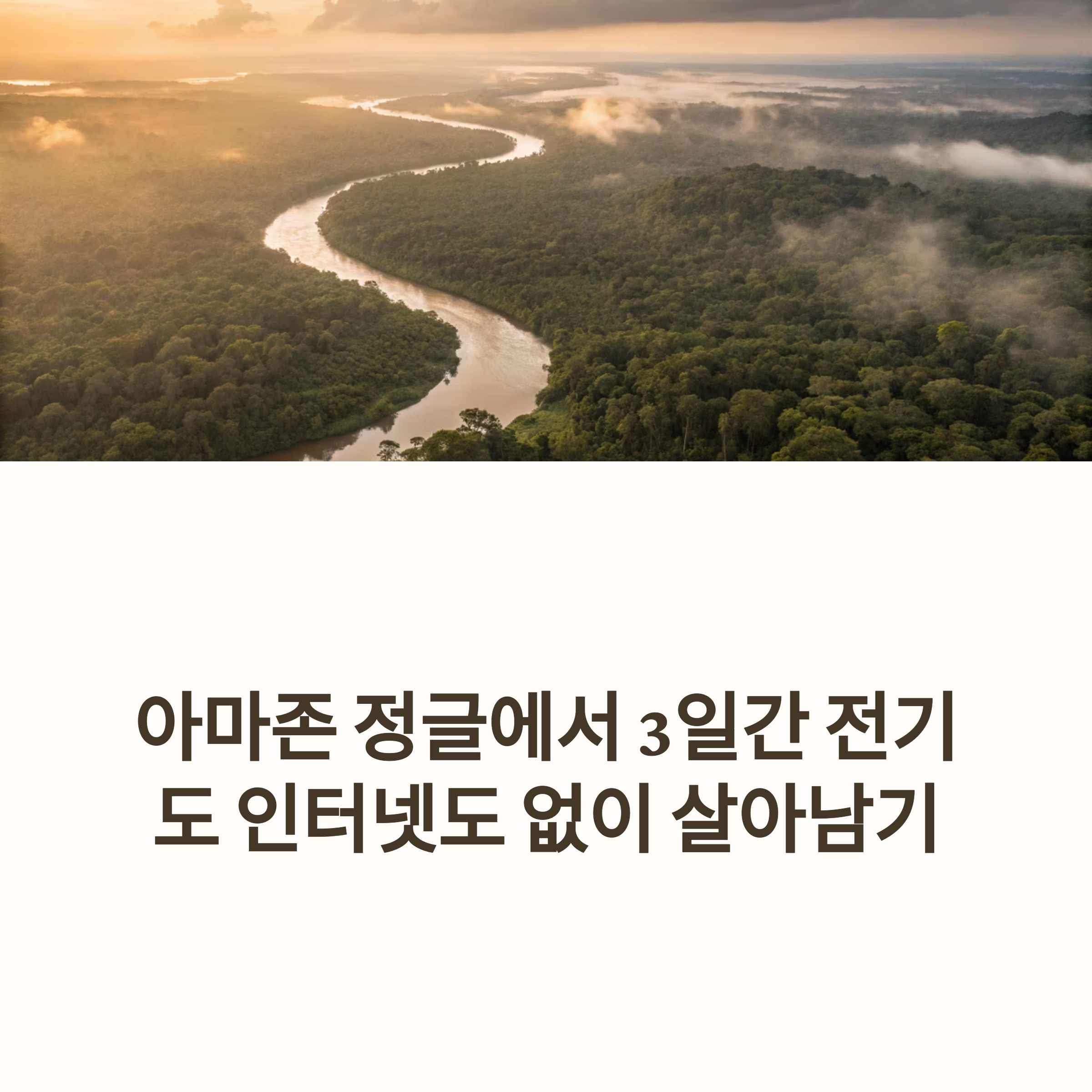 문명과 단절된 3일간의 생존기