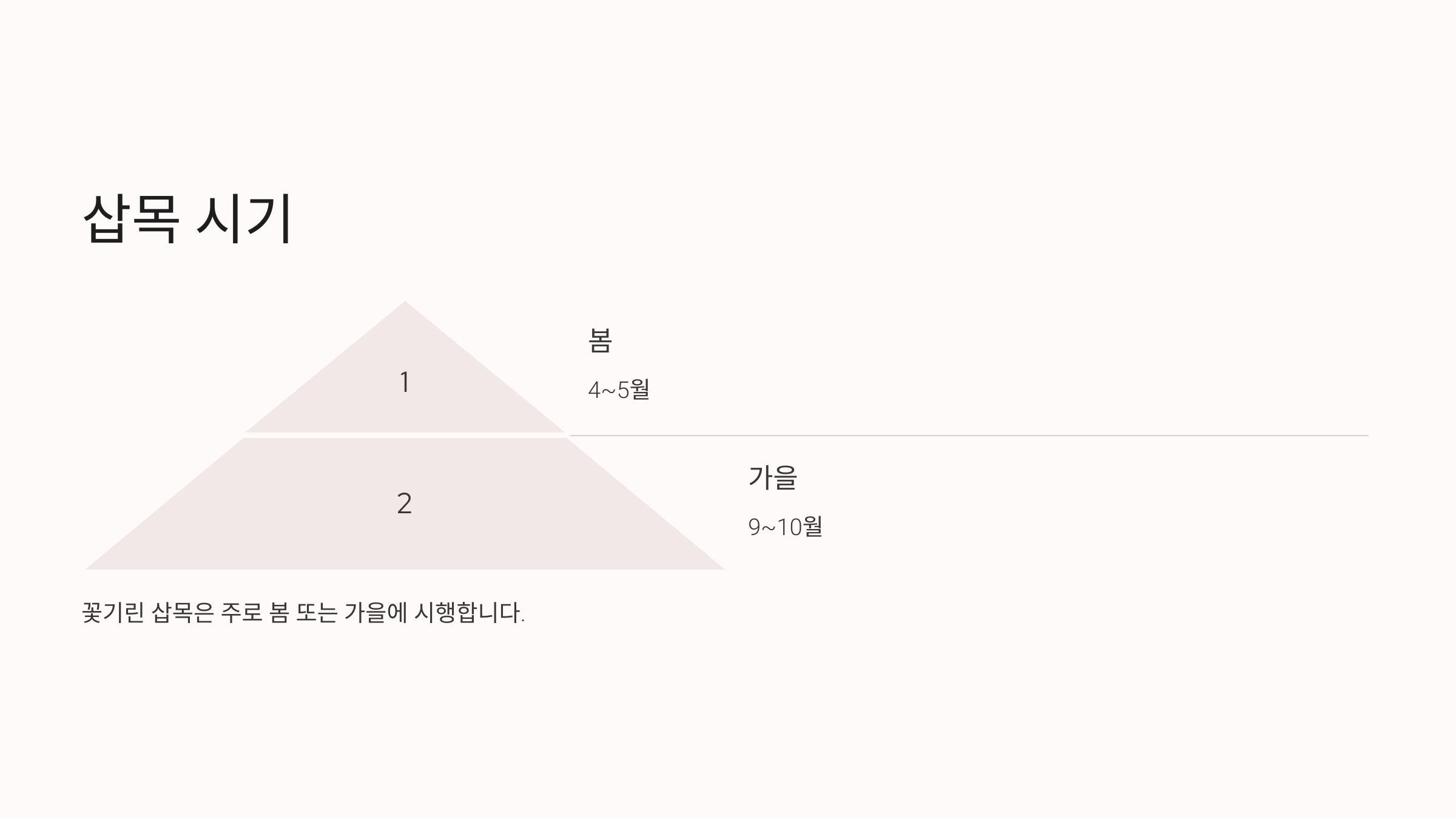꽃기린 사진입니다.