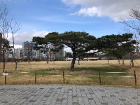 부산시민공원