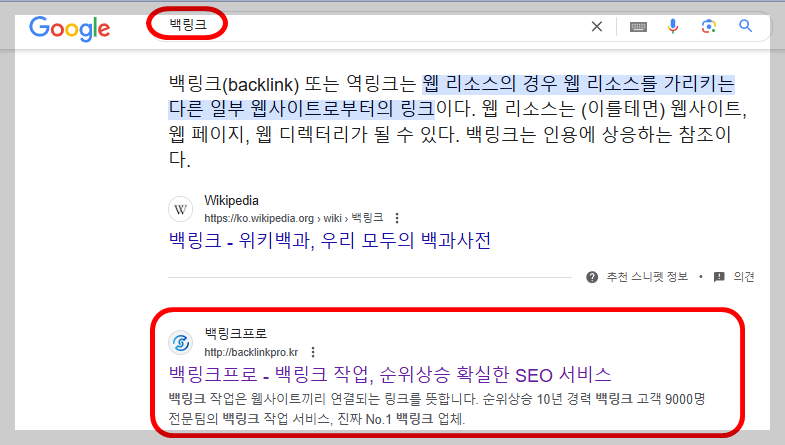 백링크프로라는 업체가 구글 검색 순위에서 1위를 차지하고 있습니다.