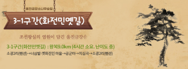 울진 금강송 소나무숲길