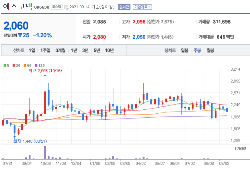 메타버스 관련주 대장주