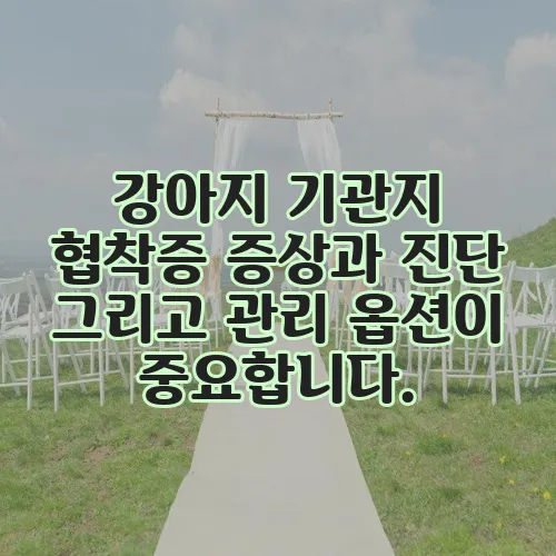 강아지 기관지 협착증 증상과 진단 그리고 관리 옵션이 중요합니다.