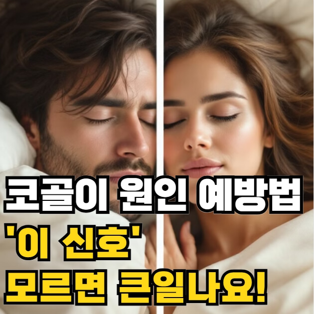 코골이 원인 예방법