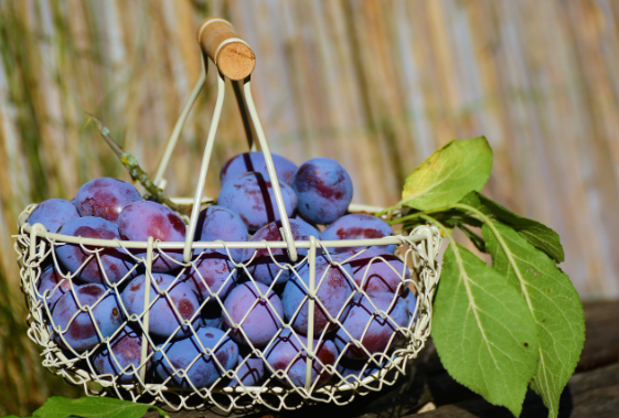 장염에 좋은 음식 10가지