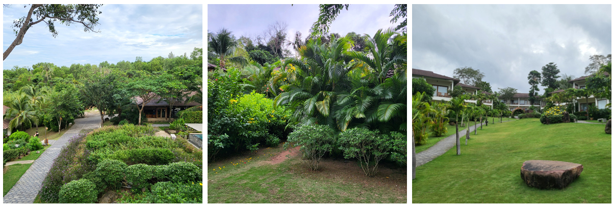 카미아 리조트 전경