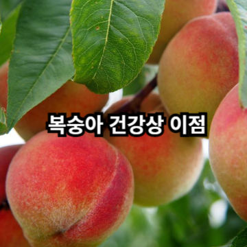 복숭아 건강상 이점