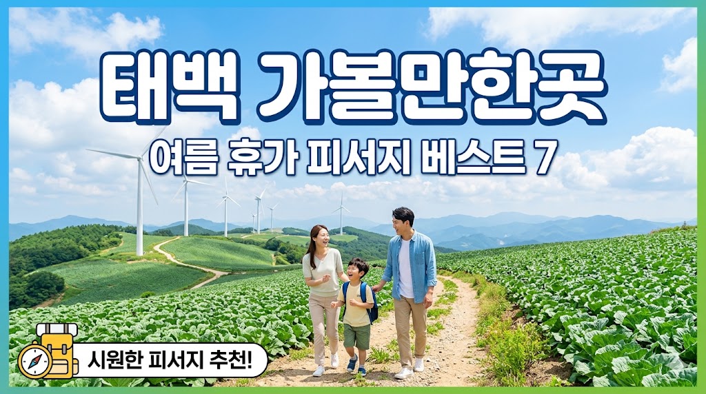 태백 가볼만한곳