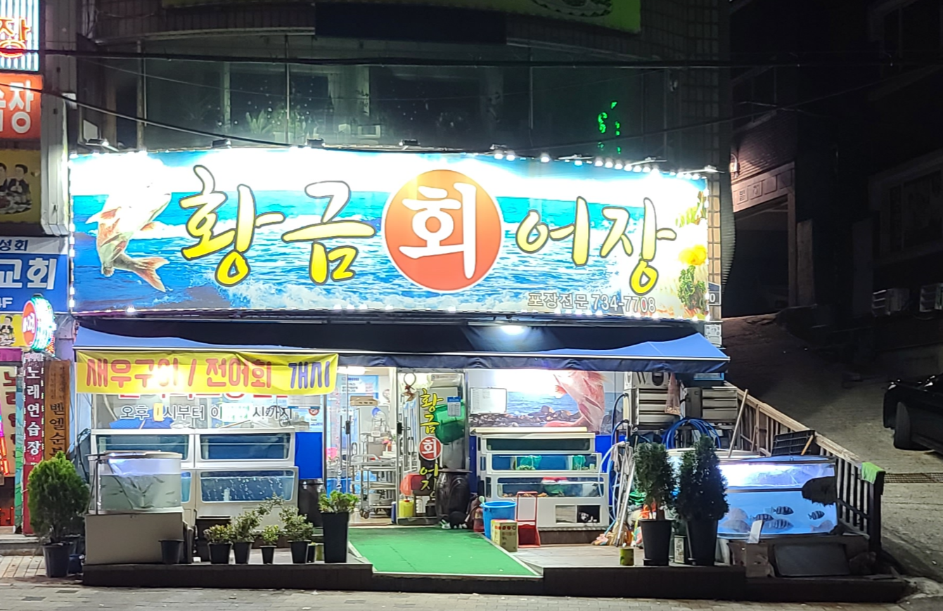 황금어장 활어회 도다리세꼬시 도다리회