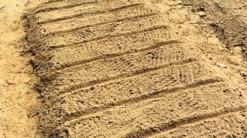 케일-재배방법-종자-파종방법-모종-심는방법-정식방법-거름주기