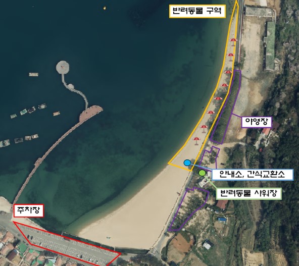 반려동물 해수욕장